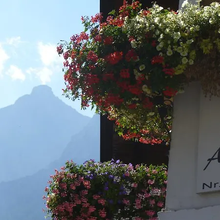 Apartamento Haus Driendl *