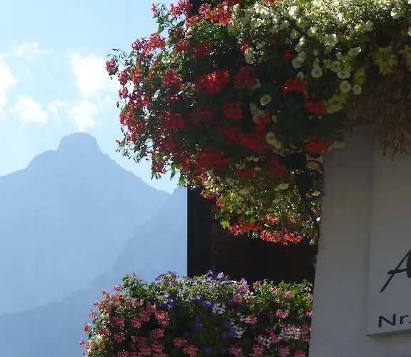 Lägenhet Haus Driendl *